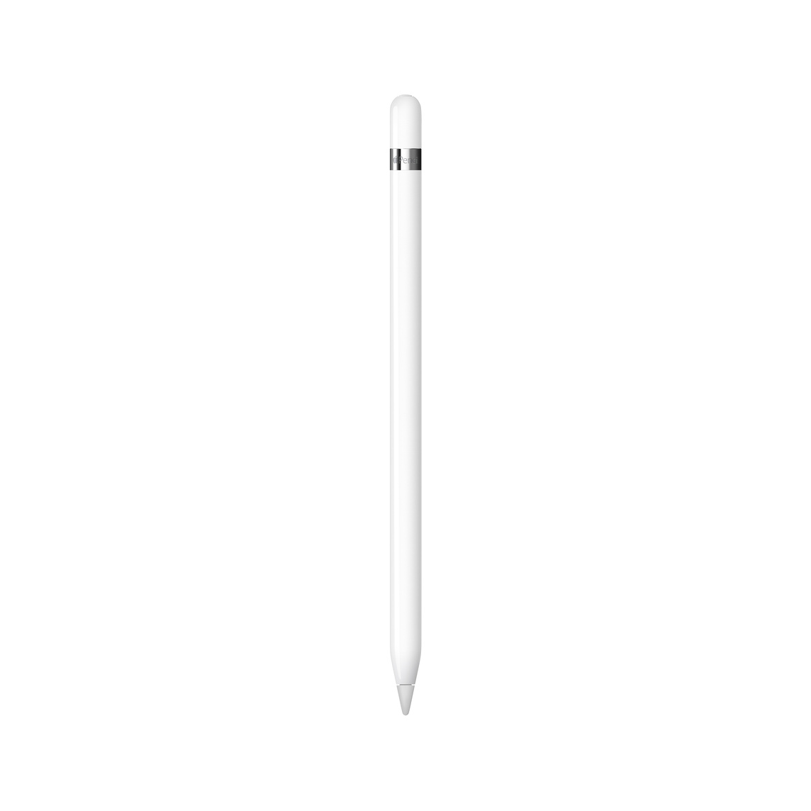 Apple Pencil (1º Generazione) con adattatore USB-C