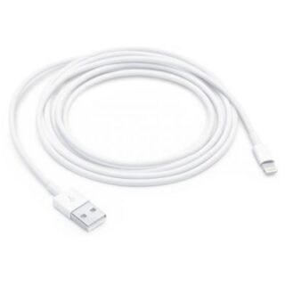 Cavo Apple Da Lightning A Usb (2 M)