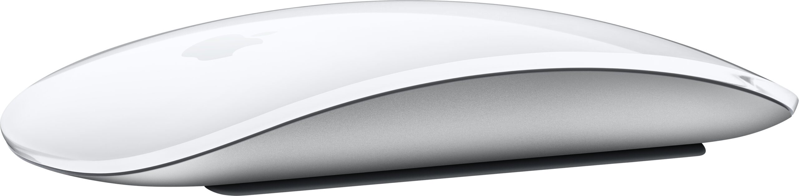 MOUSE MAGIC APPLE WIRELESS RICARICA CON CAVO USB-C